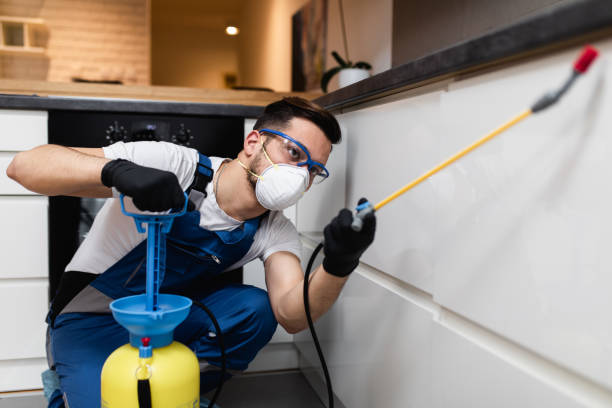 Professional Pest Control in Citrus City, TX