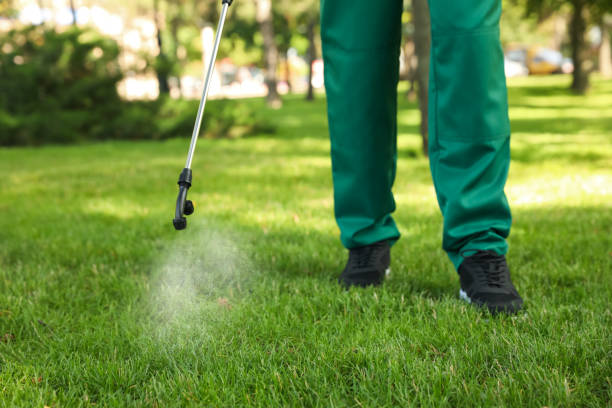 Best Residential Pest Control  in Citrus City, TX